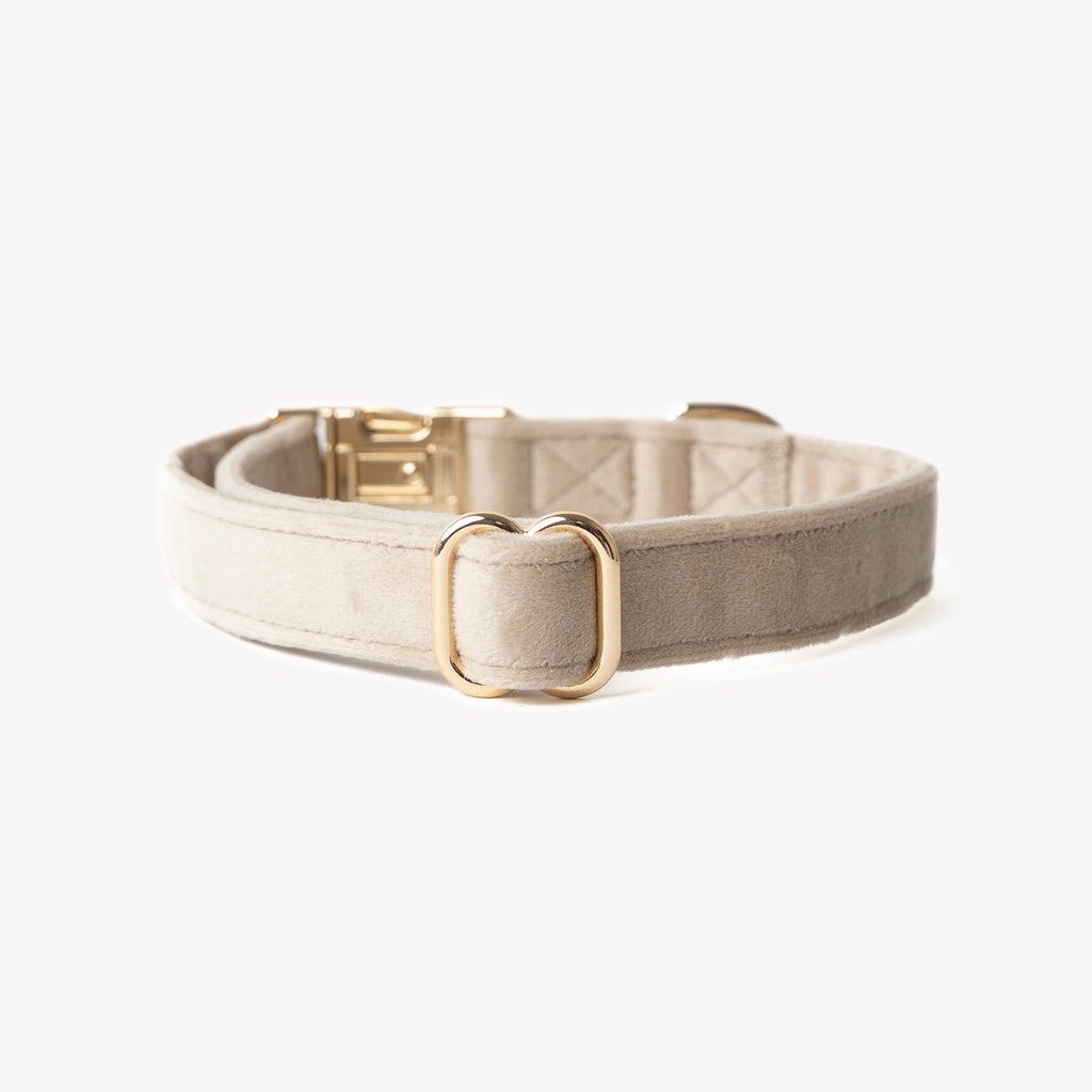 Velvet Dog Collar