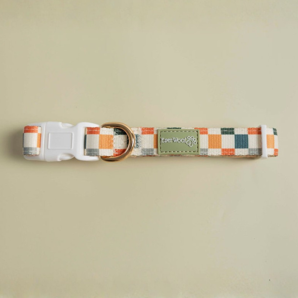 Sage & Cider Collar