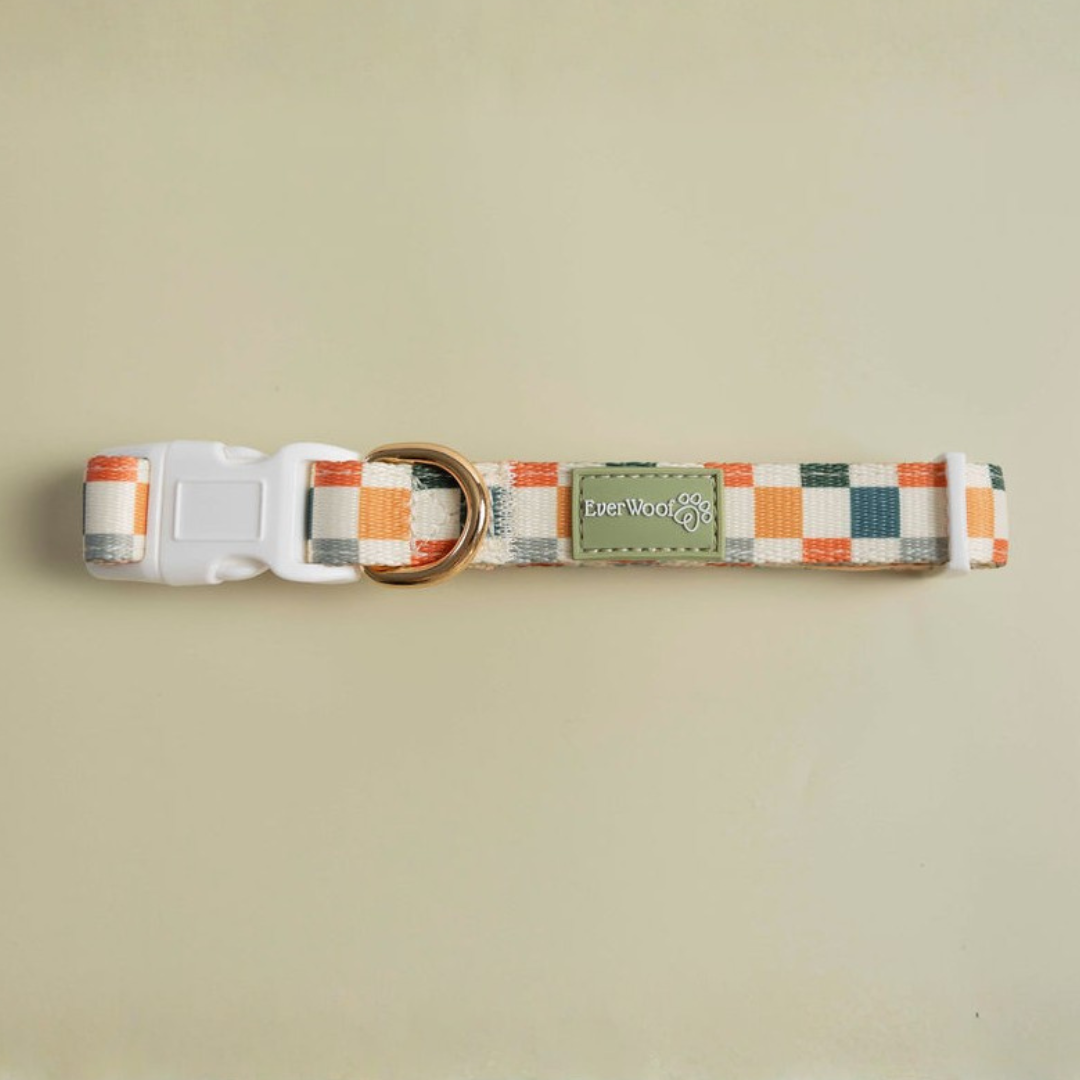 Sage & Cider Collar